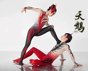 Китайский шоу-балет SWAN. Лебедь